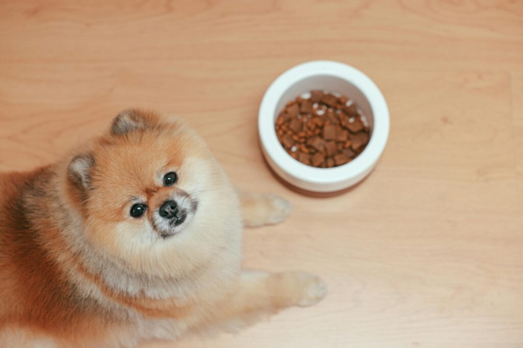 best dog food for anal gland issues
